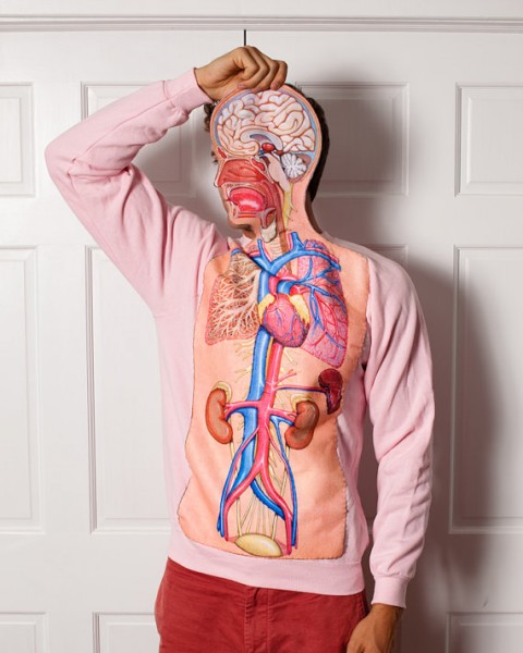 Sweatshirt - Body Anatomy Science Teacher