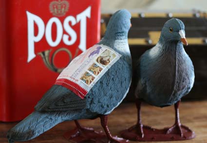 Pigeon Post