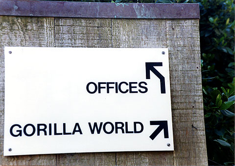Gorilla_world